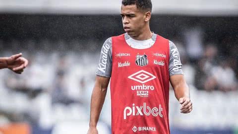 Sandry completa 4 meses sem entrar em campo pelo Santos; saiba mais sobre a situação do jogador - Imagem: reprodução