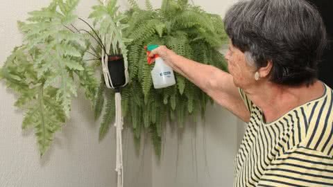 Santos disponibiliza R$ 1,5 milhão para projetos de atendimento aos idosos - Imagem: reprodução Prefeitura de Santos