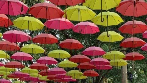 Vários pratos serão produzidos por chefs renomados durante a festa - Imagem: Redes Sociais