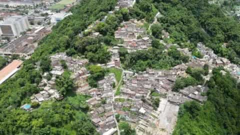 Santos cria grupo para melhorar comunidades através da natureza; saiba detalhes - Imagem: reprodução Prefeitura de Santos