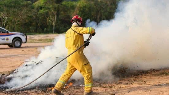 Novo agente químico pode revolucionar combate a incêndios florestais em São Paulo - Imagem: Reprodução/ Governo de SP