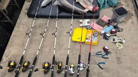 Pescadores são flagrados com tubarões-martelo em área de conservação no litoral paulista - Imagem: Divulgação/ Polícia Ambiental