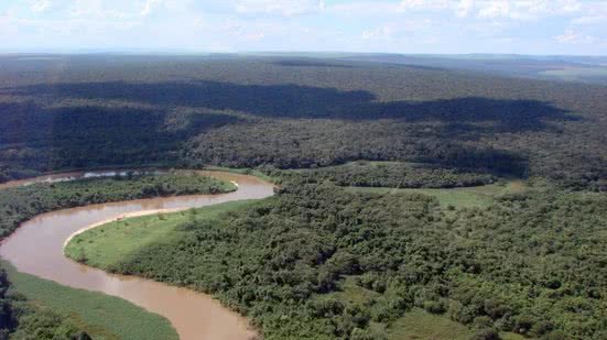 Animais recebem ajuda emergencial após incêndio devastar Estação Ecológica do Jataí - Imagem: Divulgação/ Governo de SP
