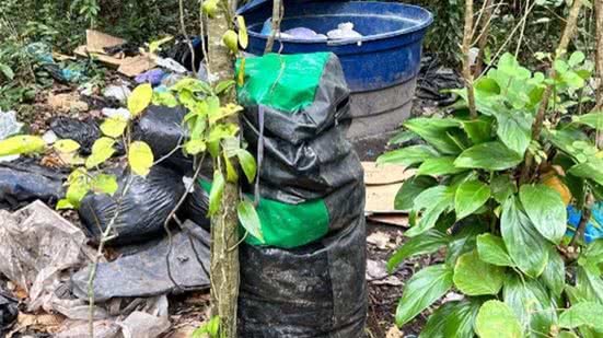 Operação em Cubatão Apreende Drogas Armazenadas em Caixa D'água e Tonéis Enterrados - Imagem: Divulgação/ Polícia Civil