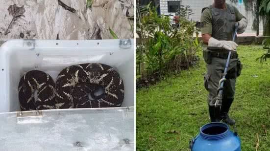 Alerta sobre segurança pública e preservação ambiental ganha destaque - Imagem: Divulgação / Prefeitura de Bertioga