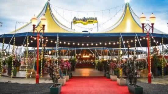 Imagem ilustrativa - Imagens: Reprodução/ Redes Sociais