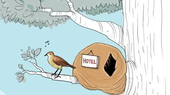 presidente Lula da Silva e a primeira-dama Janja já têm hospedagem confirmada num hotel com diária de R$ 16 mil - Imagem: @izanio_charges