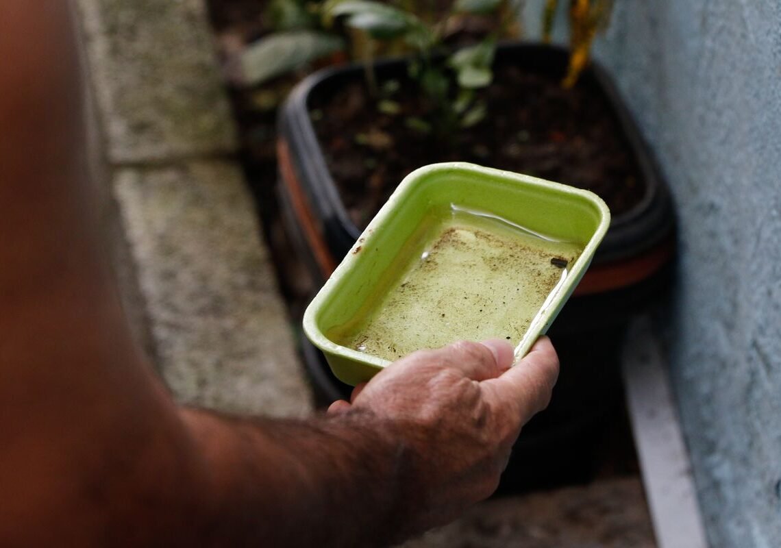 Chikungunya traz preocupações após uma década de presença no Brasil