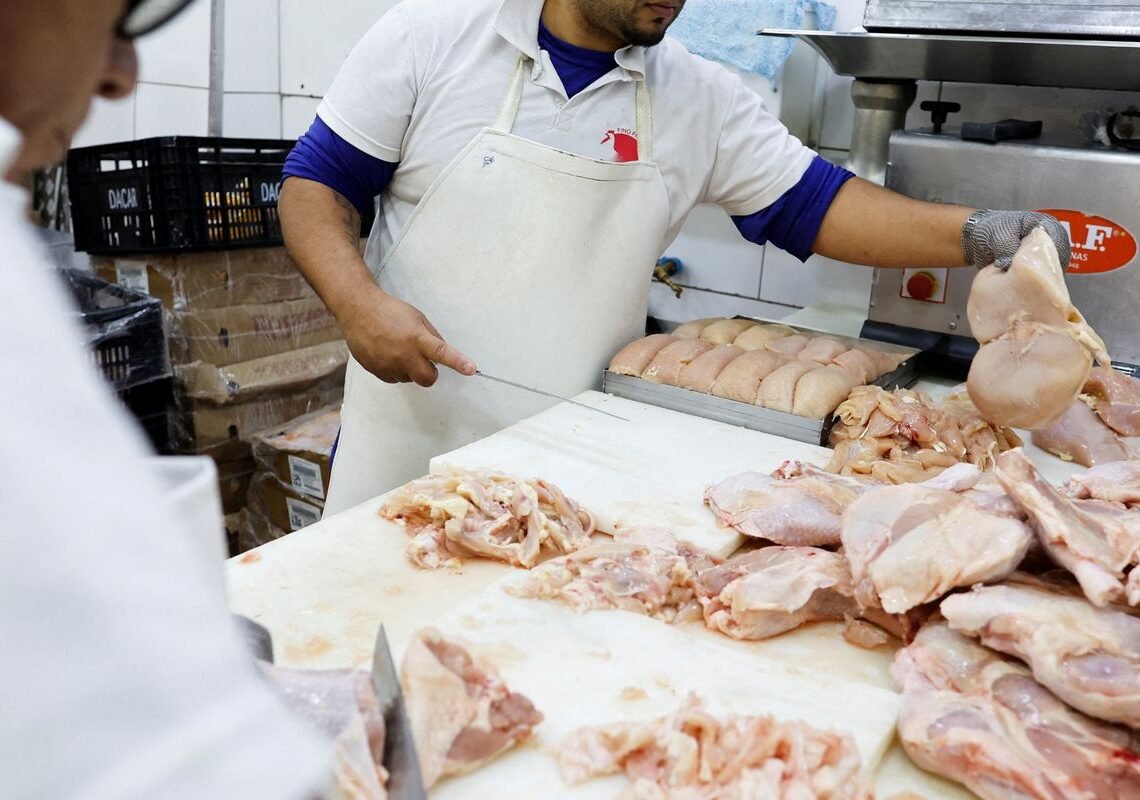 União Europeia reconhece Brasil como livre de gripe aviária