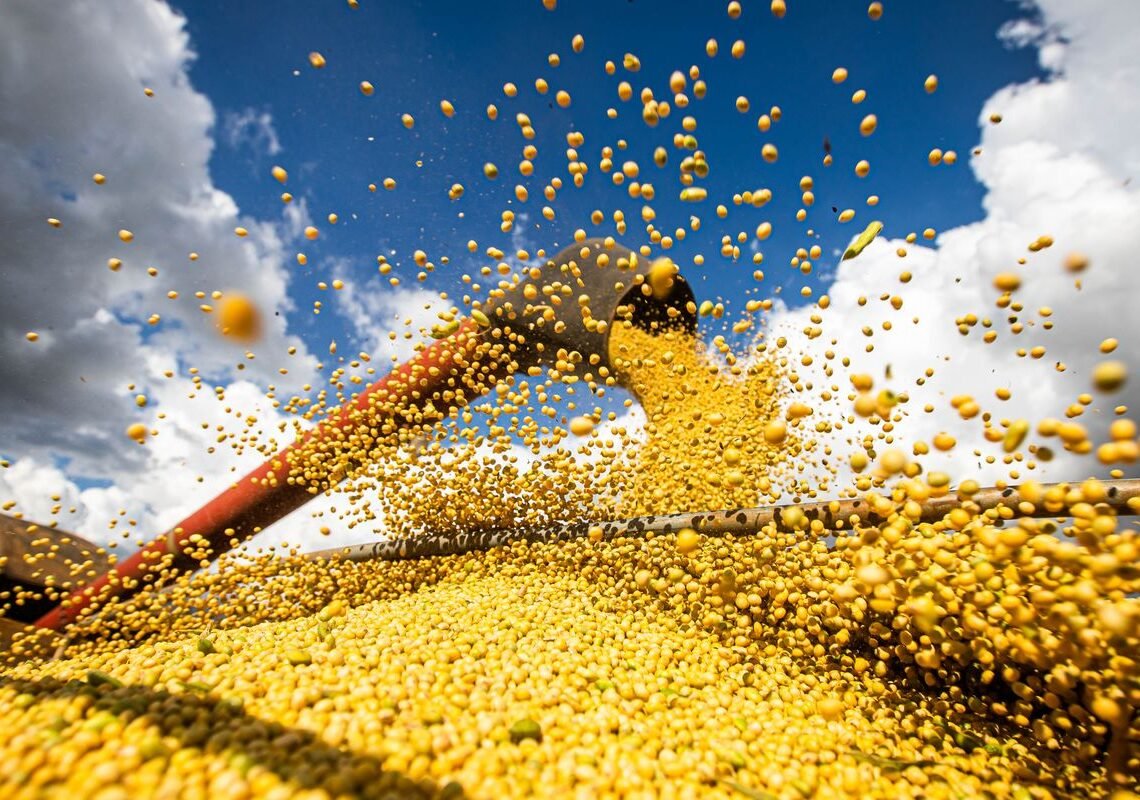 Valor da produção agrícola brasileira recua 3,9% em 2024, mostra IBGE