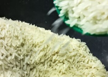 Conab anuncia R$ 300 milhões para produtores de arroz na safra 2025/26
