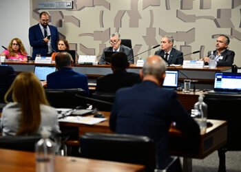 Senadores cobram agilidade na regulamentação do mercado de carbono — Senado Notícias