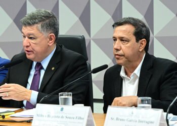 Presidente do Sindnapi permanece calado em depoimento à CPMI do INSS — Senado Notícias