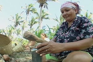 Comissão aprova projetos que reconhecem tradições locais como manifestações culturais – Notícias