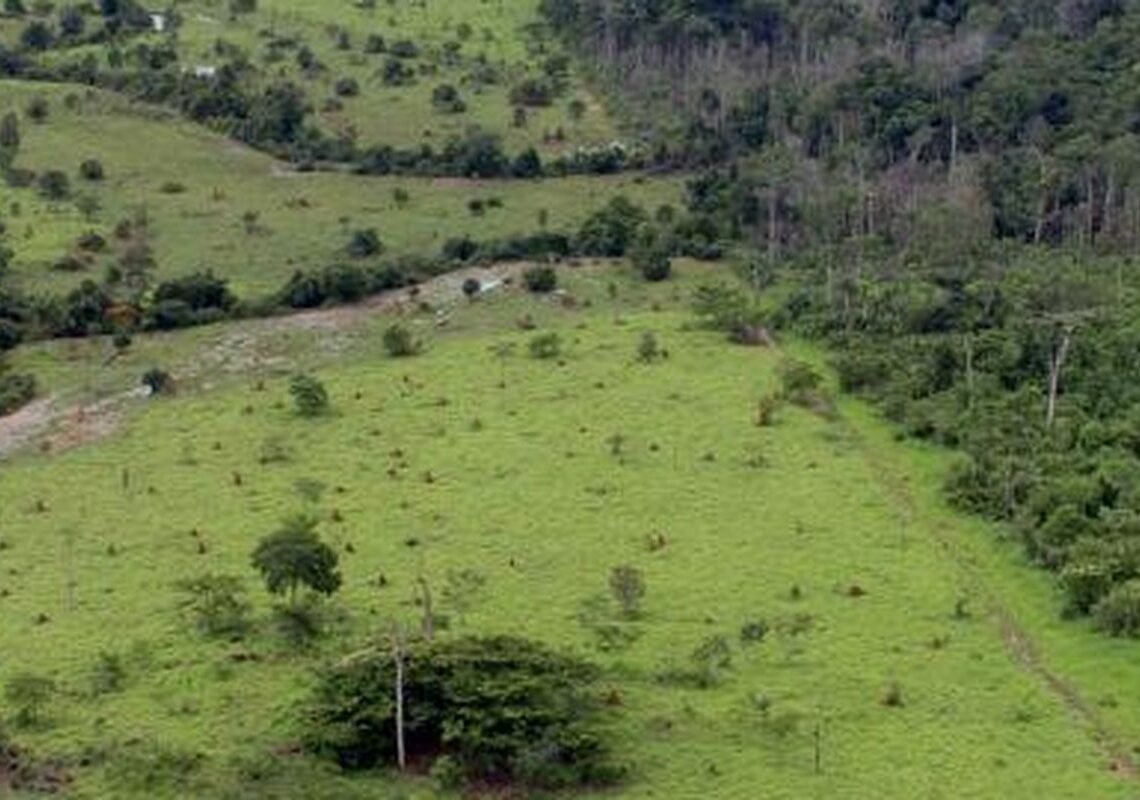 Governo prorroga prazo para georreferenciamento de imóveis rurais