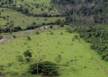 Governo prorroga prazo para georreferenciamento de imóveis rurais