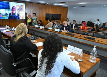 Na CRE, brasileiras relatam não ter acesso a filhos em países muçulmanos — Senado Notícias