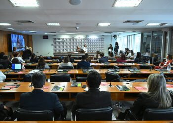 Debate alerta para subnotificação da violência contra brasileiras no exterior — Senado Notícias