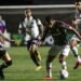 Nacional transmite partida entre Ceará e Fluminense neste domingo