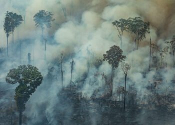 Combate à desinformação na agenda climática e o papel do Senado na COP 30 — Senado Notícias