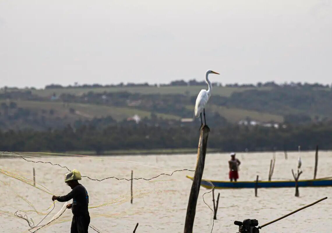Gestão do seguro-defeso passa oficialmente ao Ministério do Trabalho