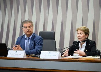 Comissão aprova plano permanente para reforçar relação Brasil–EUA — Senado Notícias