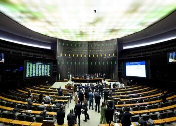 Mantidos vetos a critérios de concessão do BPC e reingresso no Bolsa Família — Senado Notícias