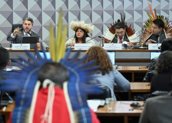 Ministra defende solução negociada para terra indígena em Rondônia — Senado Notícias