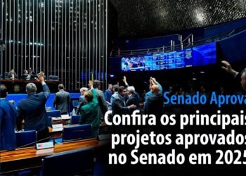 confira os principais projetos aprovados no Senado em 2025 — Senado Notícias