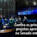 confira os principais projetos aprovados no Senado em 2025 — Senado Notícias