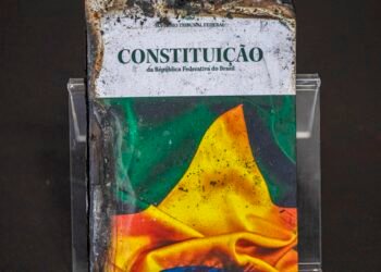 Sociedade civil pede ao Senado rigor na análise do PL da Dosimetria