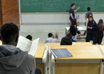 SC: Assembleia proíbe cotas raciais em universidades estaduais