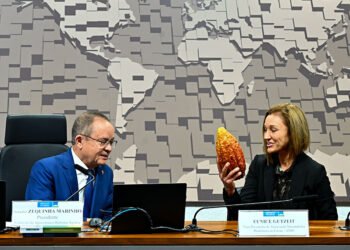 Título de capital do cacau a Medicilândia (PA) fortaleceria produção, aponta debate — Senado Notícias