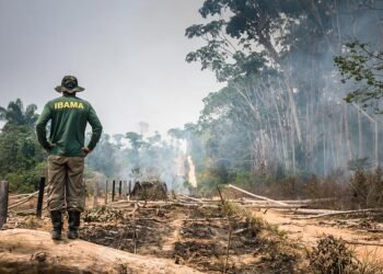 Medida provisória libera R$ 60,46 mi para combate a incêndios e desmatamento — Senado Notícias