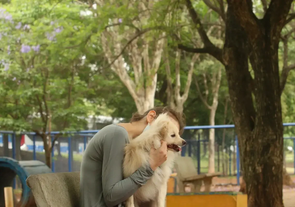 Cade aprova fusão entre Petz e Cobasi com restrições