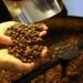 Exportação de café do Brasil cai em 2025, mas bate recorde em receita