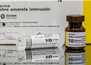 SP: quem tomou vacina fracionada da febre amarela deve completar ciclo