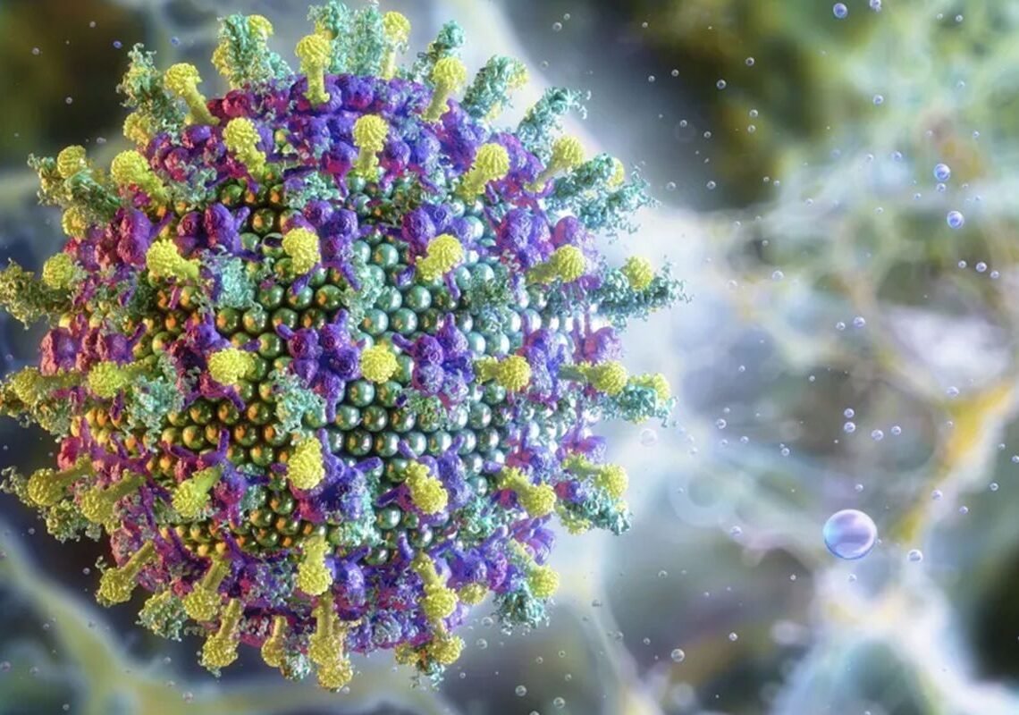 Nipah: saiba mais sobre o vírus que preocupa a Ásia