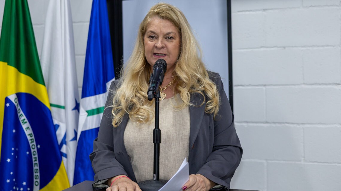 Lu Bogo pede melhorias e segurança para entorno da UBS do Parque Hipólito