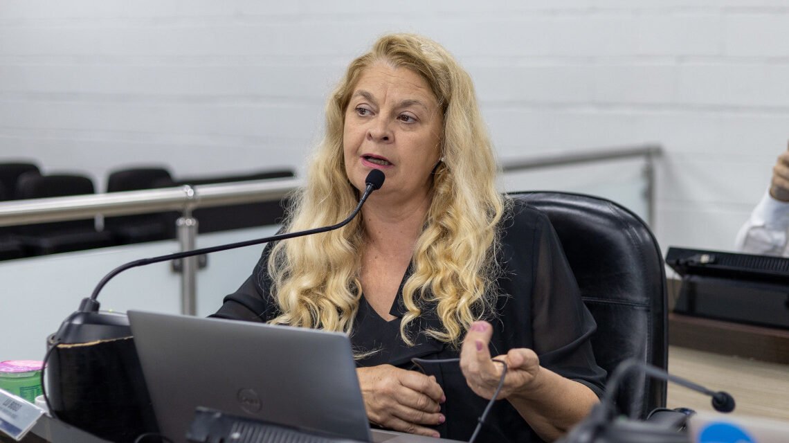 Lu Bogo questiona Prefeitura sobre programa habitacional Vila Dignidade 2