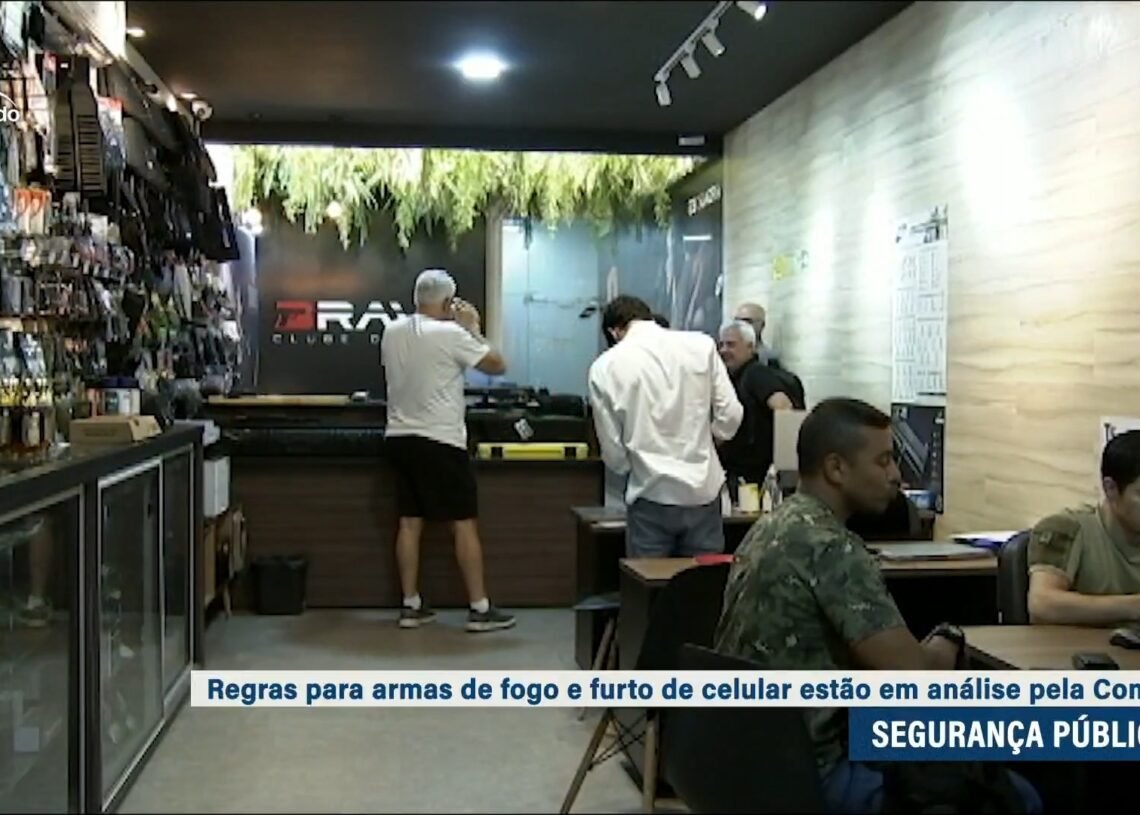 Regras para armas de fogo estão na pauta da Comissão de Segurança Pública — Senado Notícias