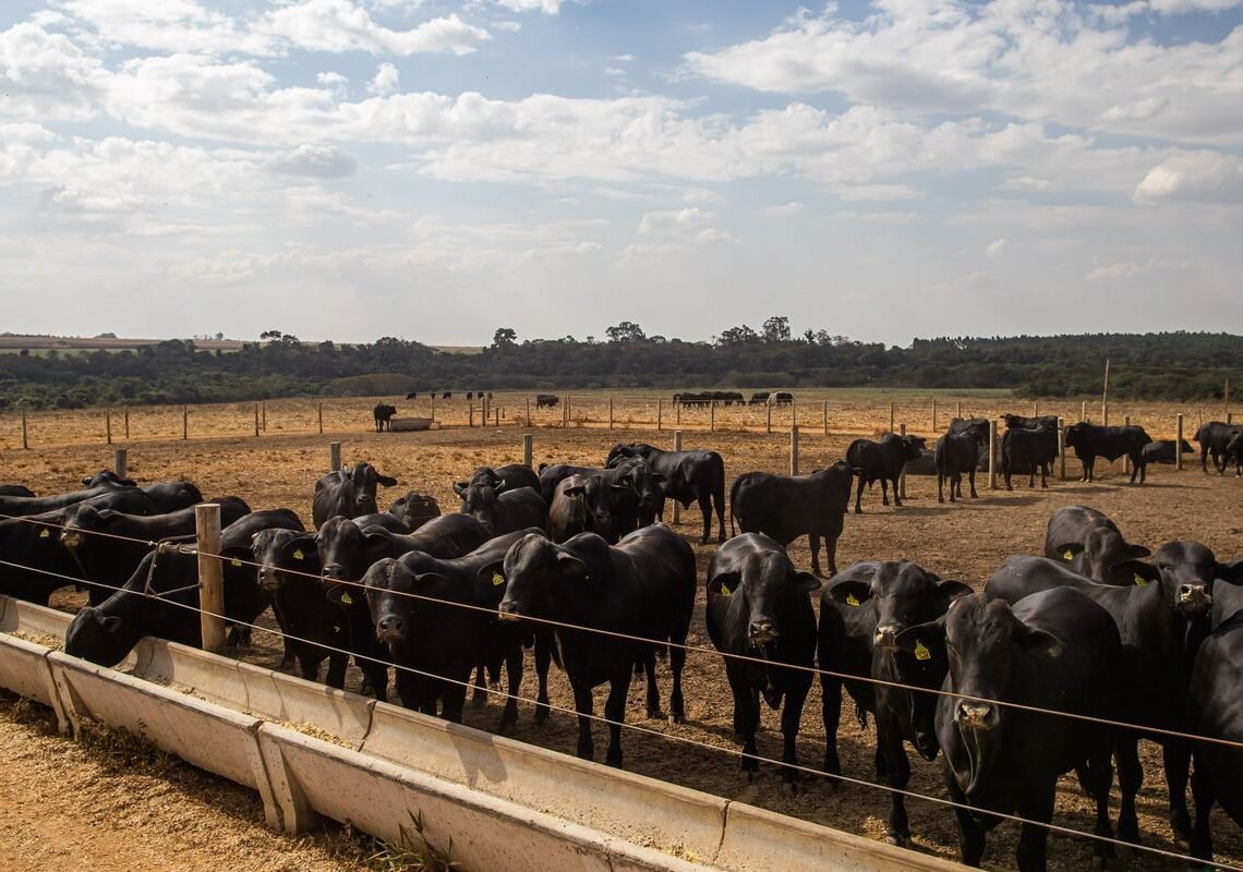 Atividade econômica brasileira cresce 2,5% em 2025