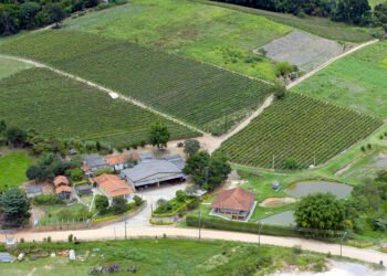 Projeto cria Sistema Nacional de Geocercas Rurais para segurança no campo — Senado Notícias