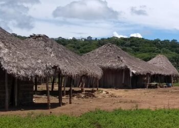 CDH vai analisar inclusão digital de ribeirinhos, quilombolas e indígenas — Senado Notícias